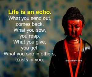 Life is an echo. What you send out comes back. What you sow, you reap. What you see in others, exists in you.