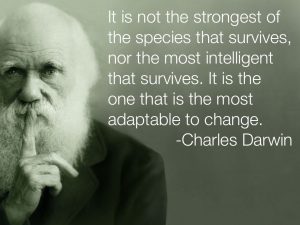 People who know how to adapt survive. Social media users should learn acceptance.